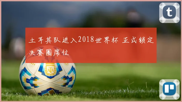 土耳其队进入2018世界杯 正式锁定决赛圈席位