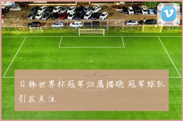 日韩世界杯冠军归属揭晓 冠军球队引发关注