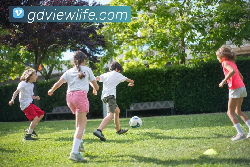 多媒体互动体验